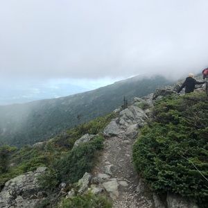 Meet your Posher, Katelyn